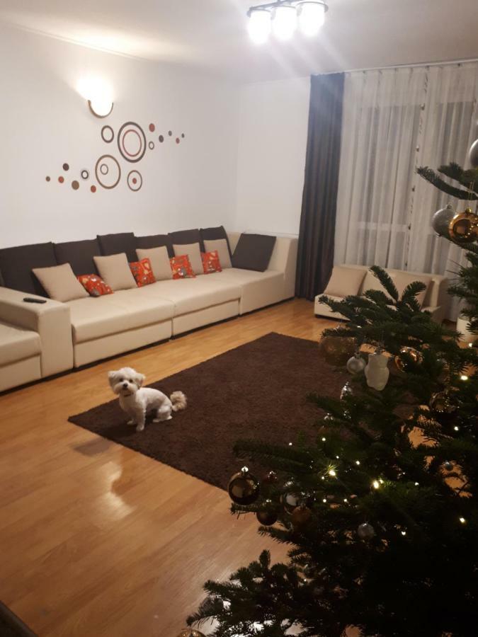 Casa Mais Brašov Exteriér fotografie