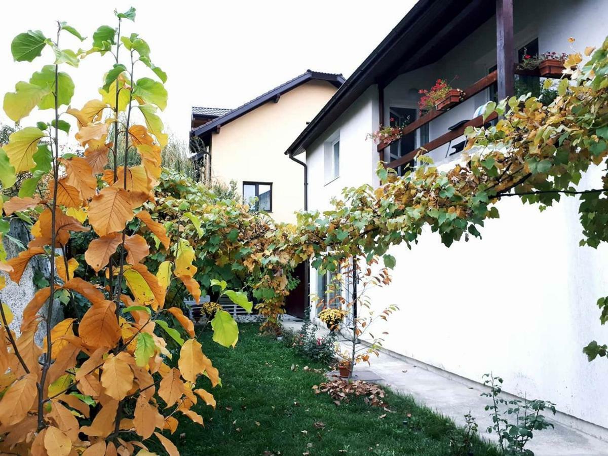 Casa Mais Brašov Exteriér fotografie