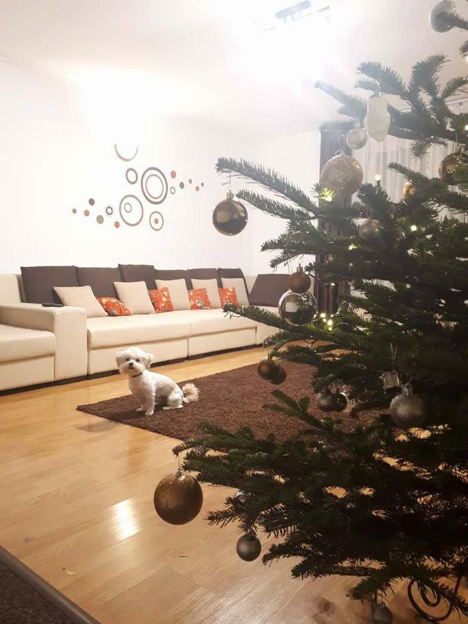 Casa Mais Brašov Exteriér fotografie