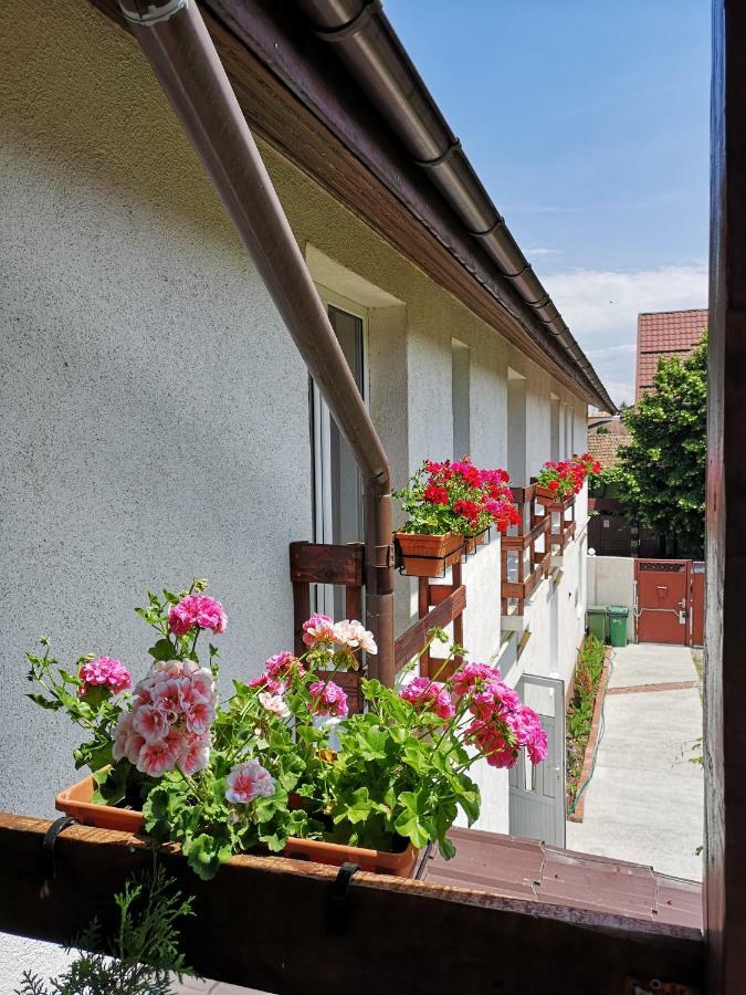 Casa Mais Brašov Exteriér fotografie